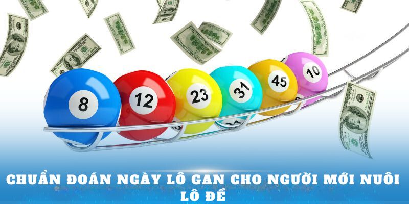 Chuẩn đoán ngày lô gan cho người mới nuôi lô đề